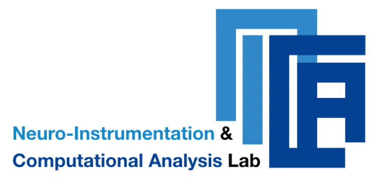 NICA Lab Logo